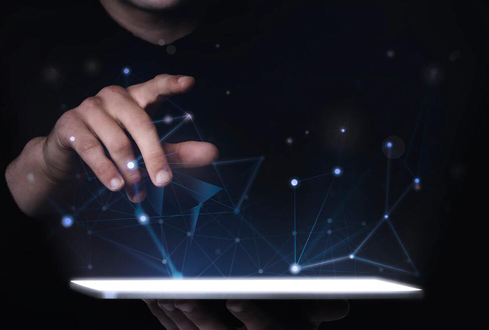 樱草花和樱花草的花语 樱花草钢琴简谱